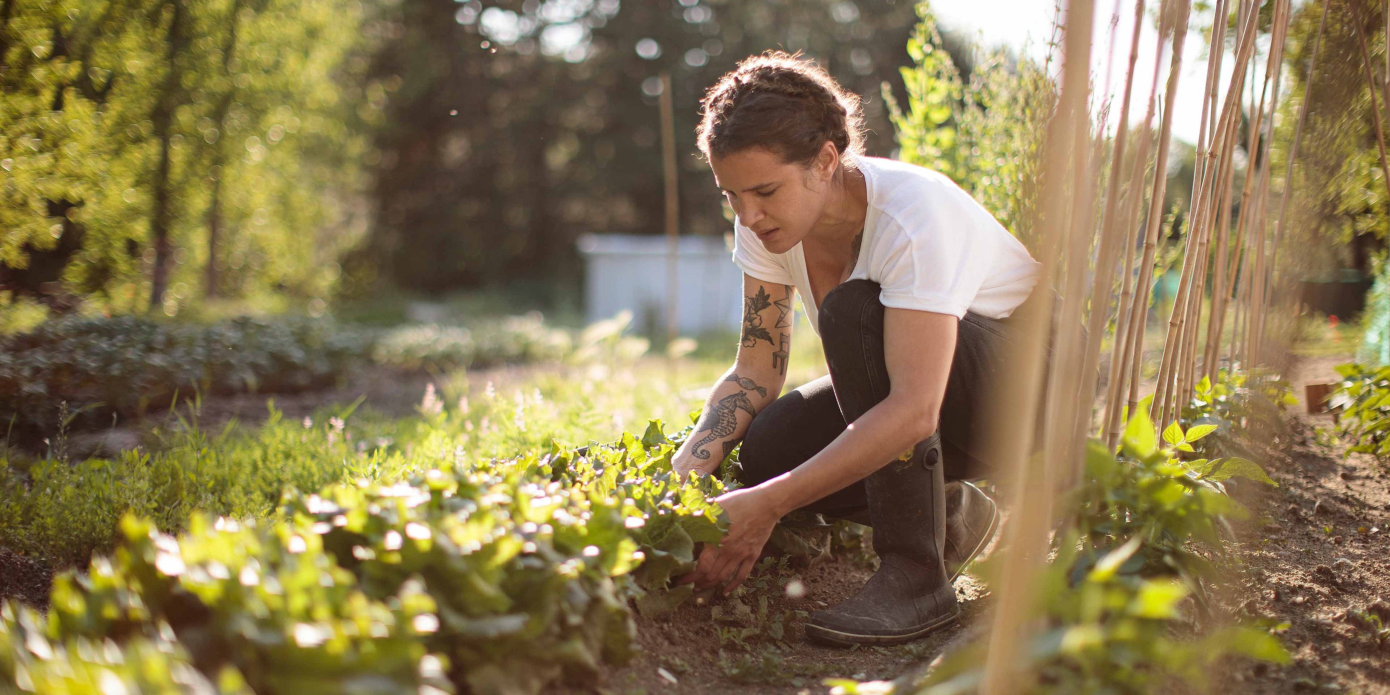 A woman in a white T-shirt and black pants is kneeling before a flower bed. She is planting flowers in the bed. 