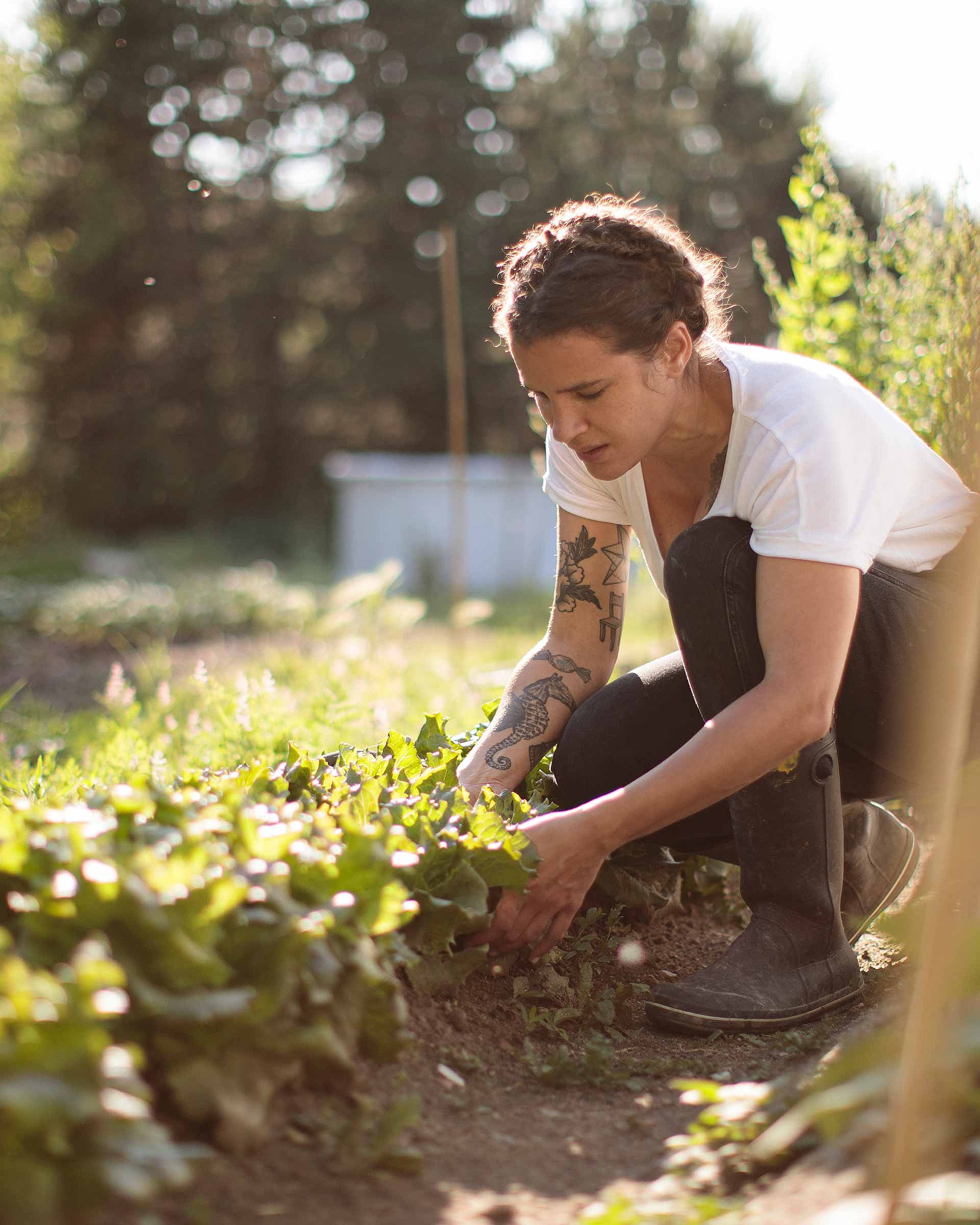 A woman in a white T-shirt and black pants is kneeling before a flower bed. She is planting flowers in the bed. 